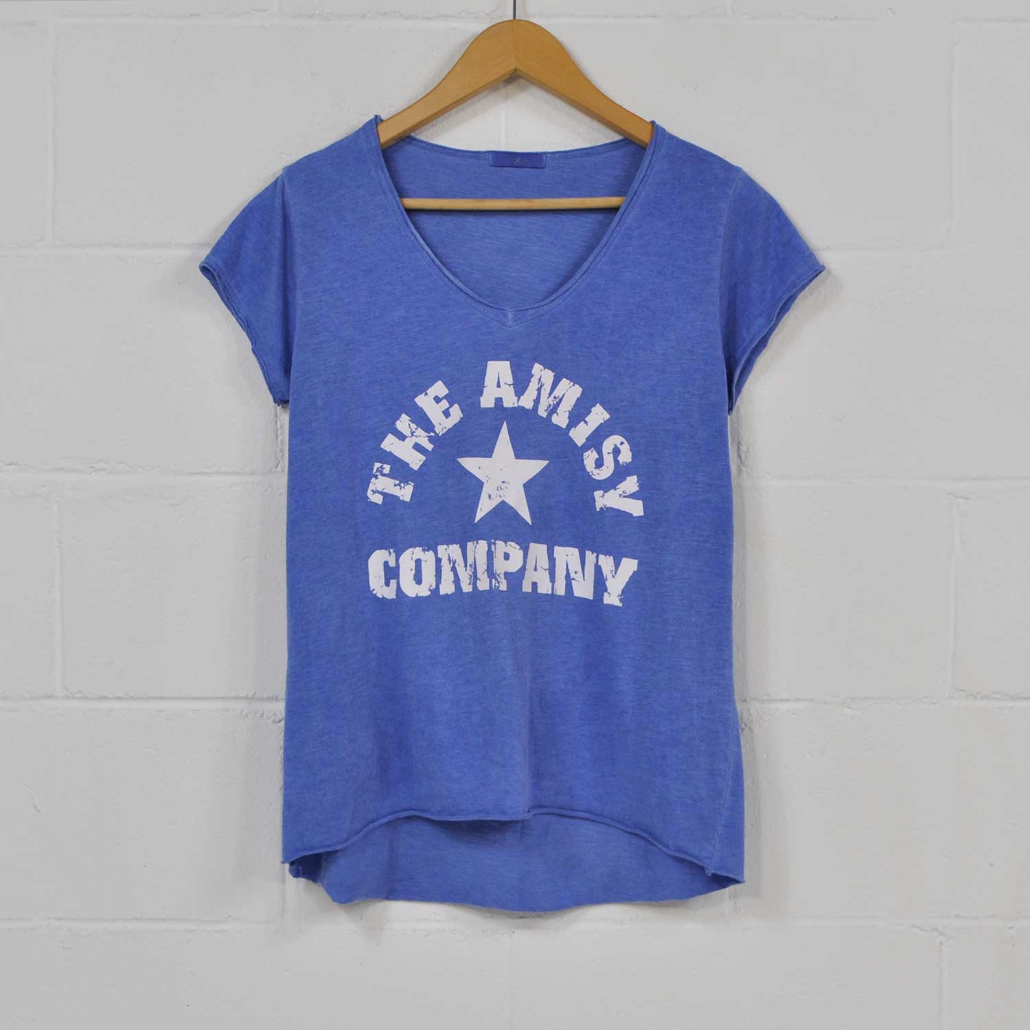 Blue Amisy v-neck T-shirt
